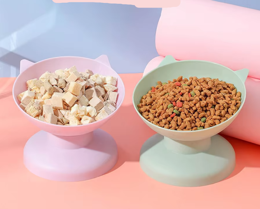 Cat Bowl With 15 - Degree Inclination To Protect The Cervical Spine