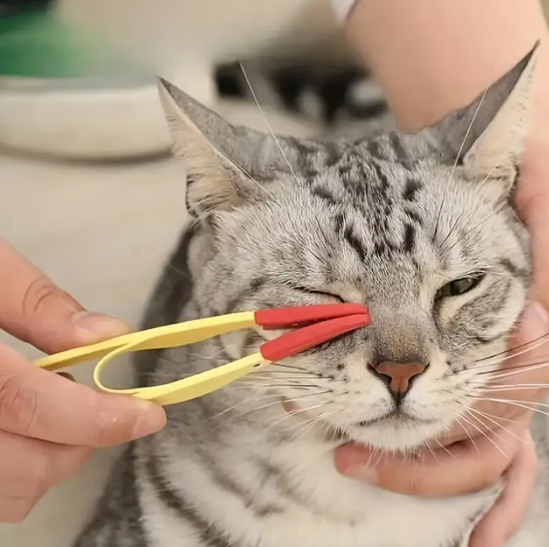 Tick Tweezers For Pets - Precise, Gentle Removal