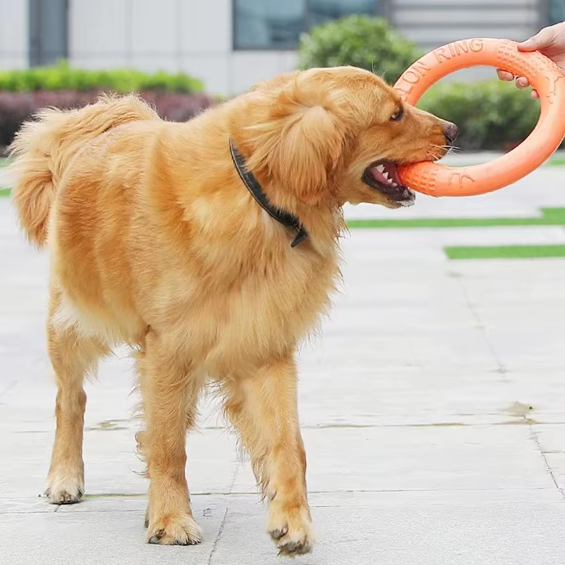 Robust Throwing And Teething Ring - Interactive Dog Toy For Active Playtime Fun