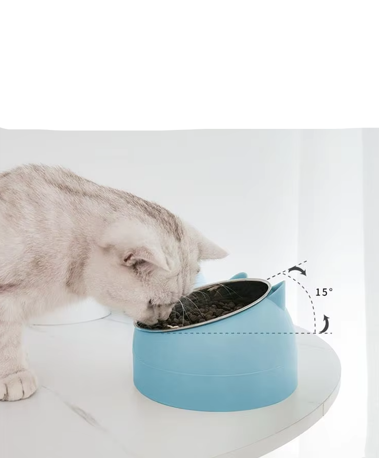 Cat Bowl With 15 - Degree Inclination For Comfortable Eating