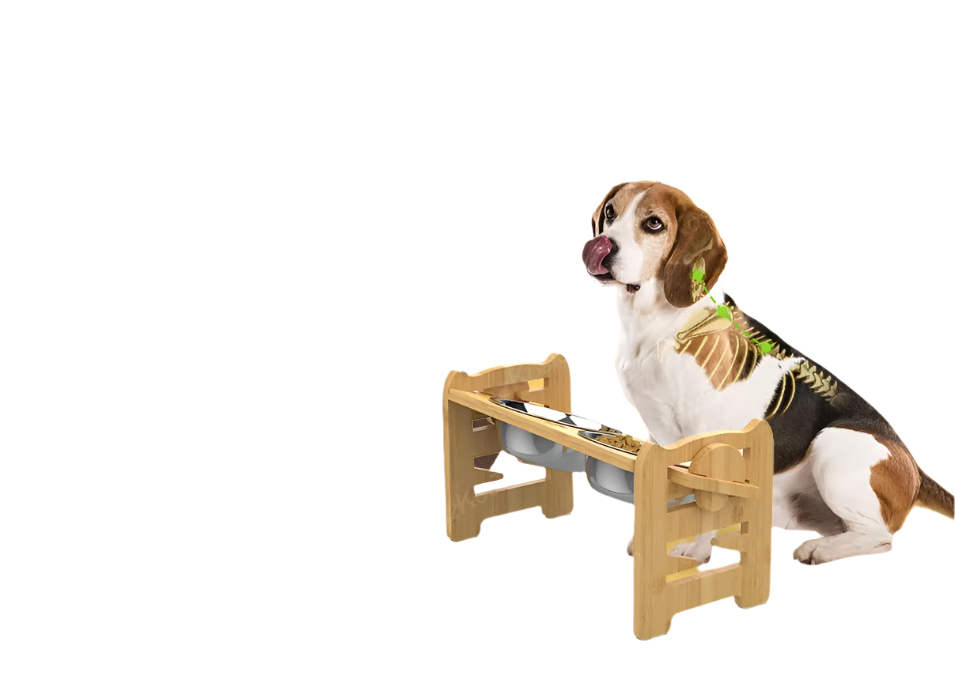 Elevated Feeding Station For Pets Bowls