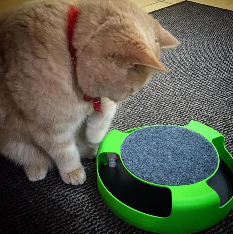 Interactive Cat Toy With Mouse - Toy With Moving Mouse For Cats