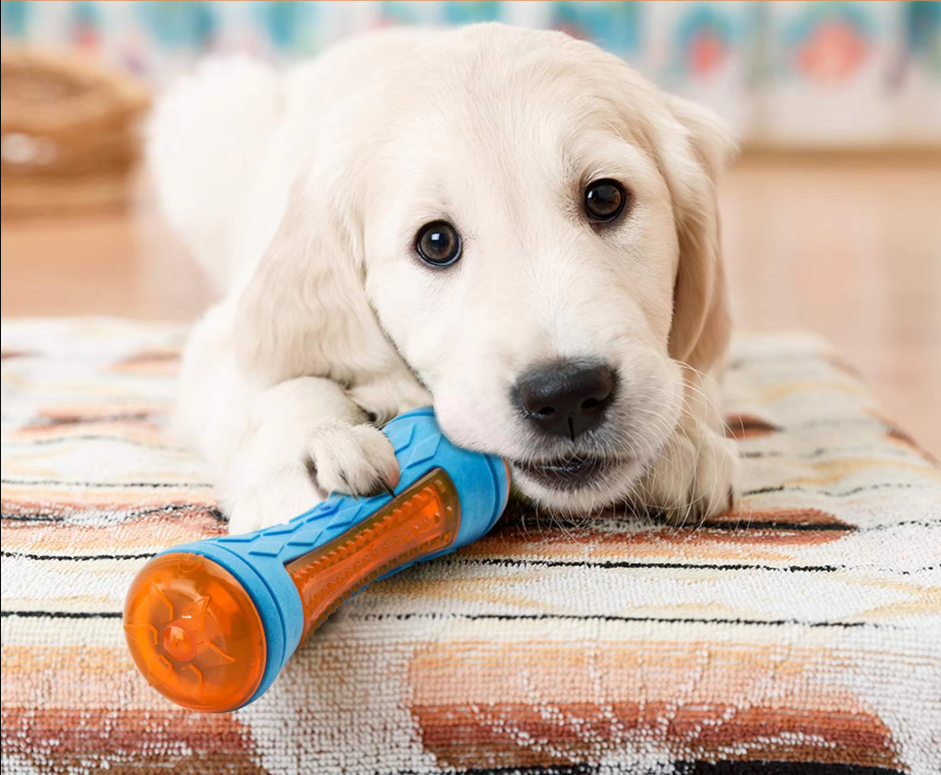 Robust Dog Toy Set - Interactive Bite And Squeak Toys