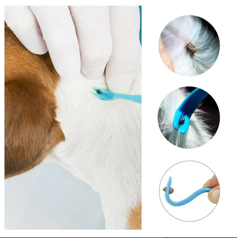 Pet Tick Hook Set (3 Pieces)