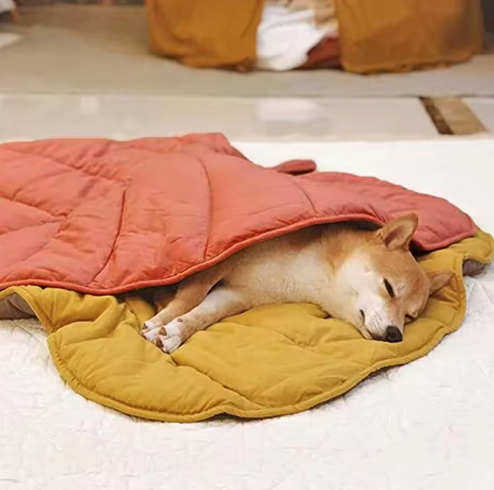 Double - Sided Pet Pad