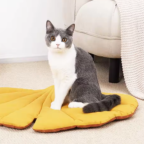Double - Sided Pet Pad