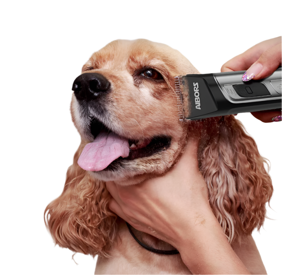 (Too Expensive)Dog Clipper Set With Accessories