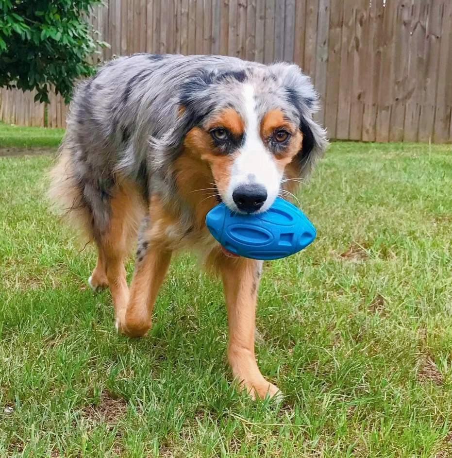Throwing And Chewing Toy For Dogs - Robust Rubber Football