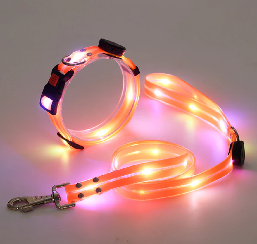Led Dog Collar With Lead For Safe Walks