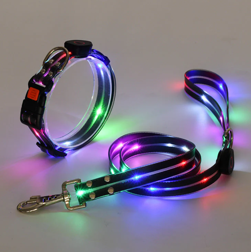 Led Dog Collar With Lead For Safe Walks