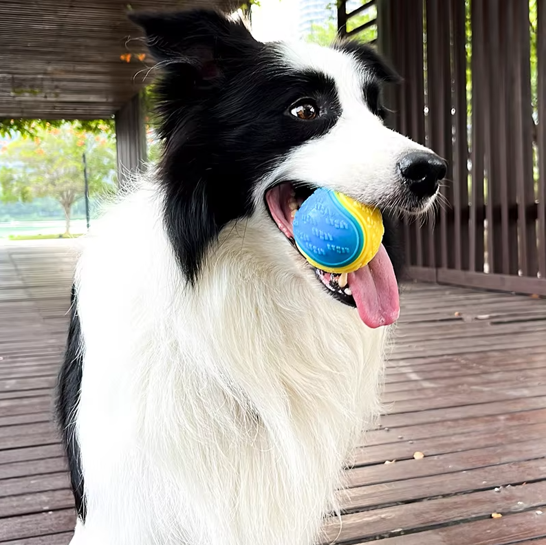 Interactive Squeaker Ball - Robust Chew Toy For Dogs