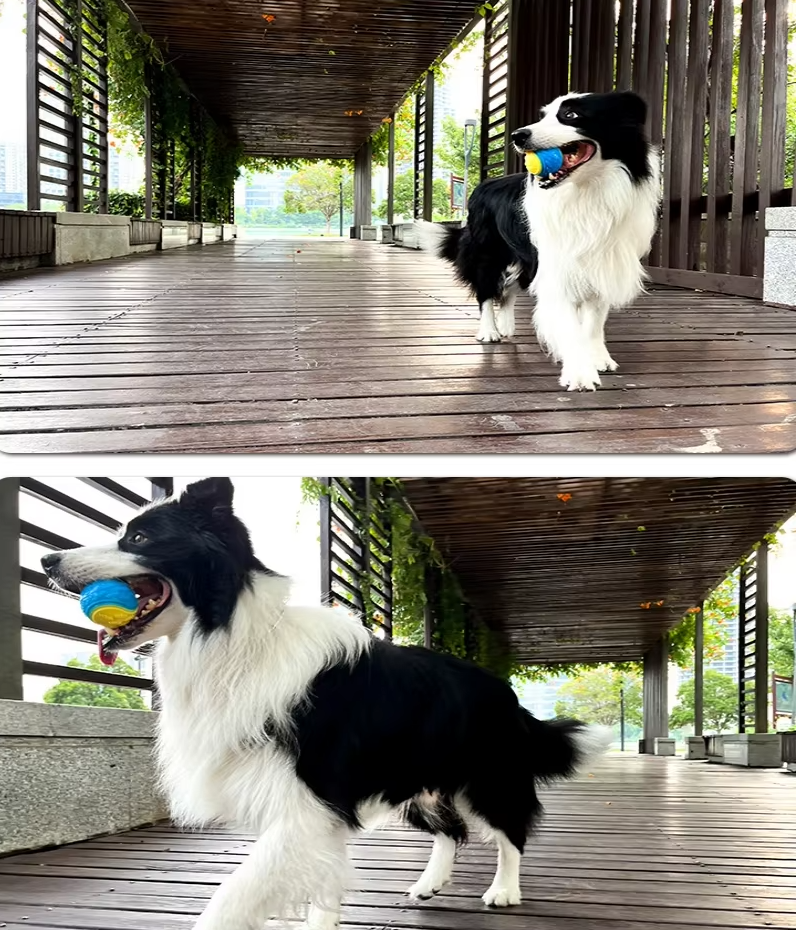Interactive Squeaker Ball - Robust Chew Toy For Dogs