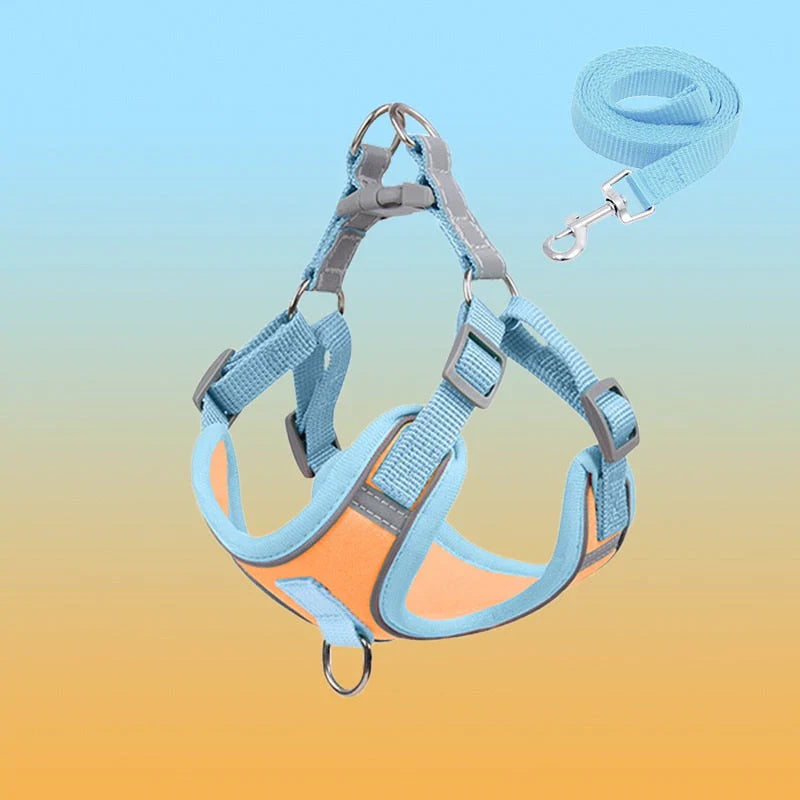 Reflective Dog Harness Set For Dogs