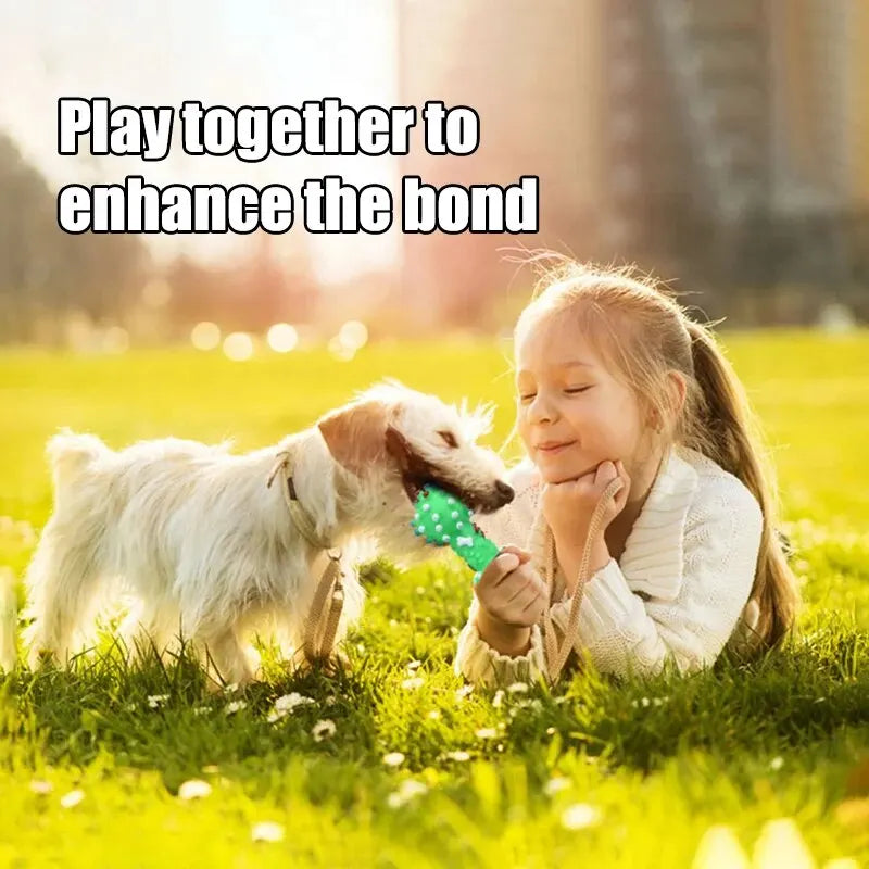Dog Toy Chew Ball - Robust Teething Aid For Dental Care Fresh Breath