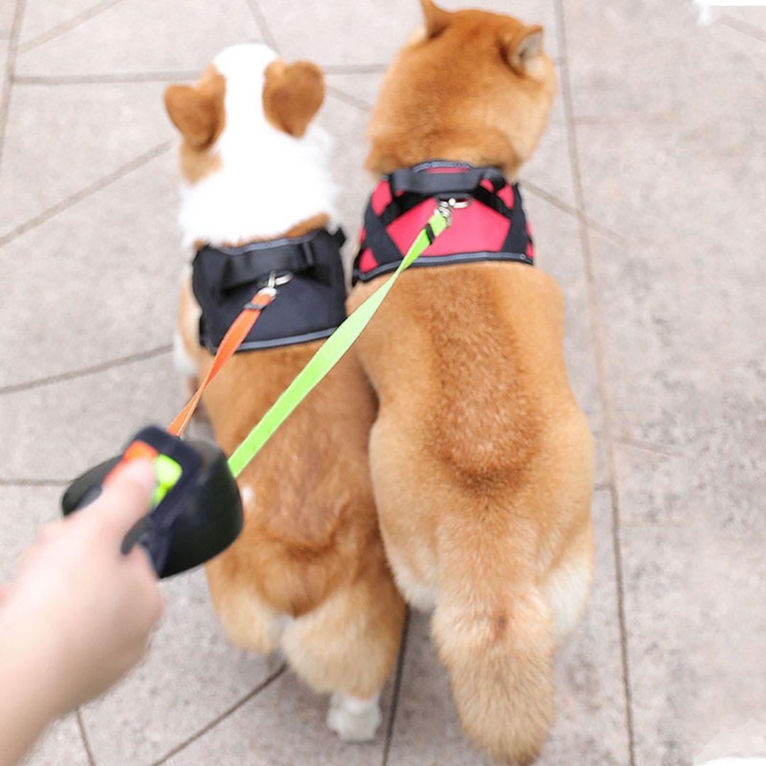 Practical Anti - Wrap Double Dog Lead