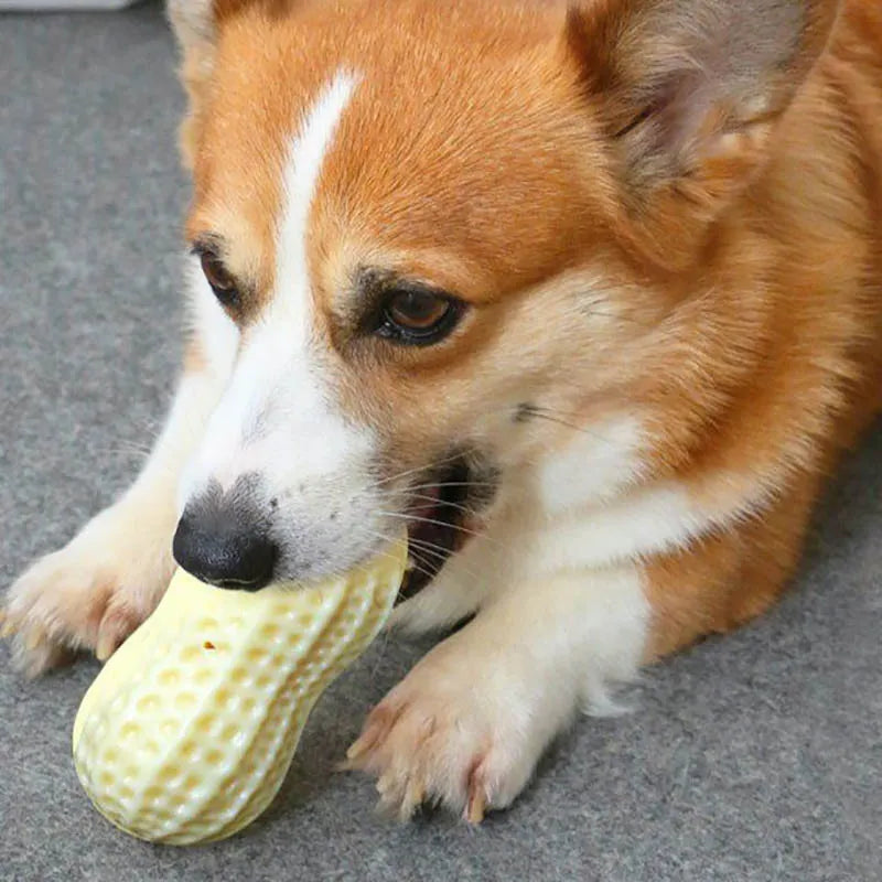 Dog Toy In Peanut Shape - Chew Toy With Sound Hole For Dogs