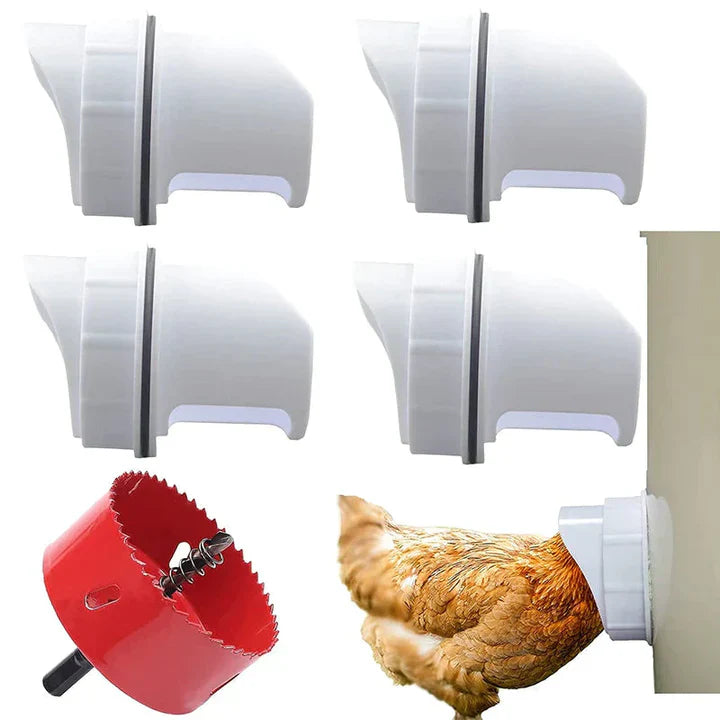 Self - Sufficient Chicken Feed System