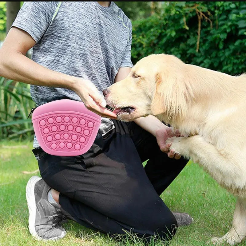 Pop - It Keychain With Zip - Stress Relief Toy And Storage Bag