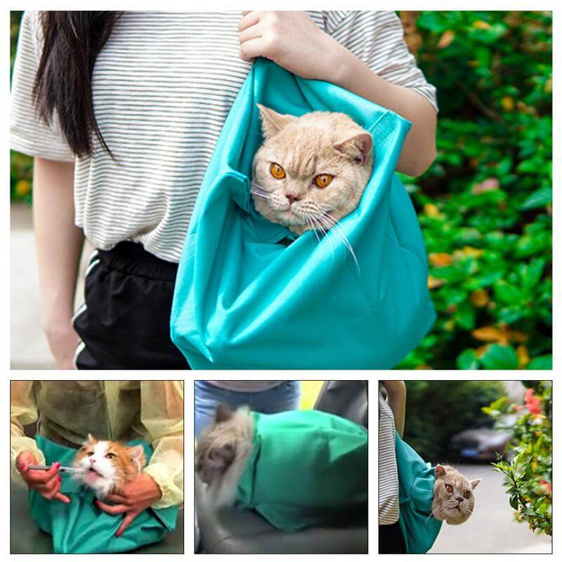Cat Travel Bag With Comfort (2 For 1)