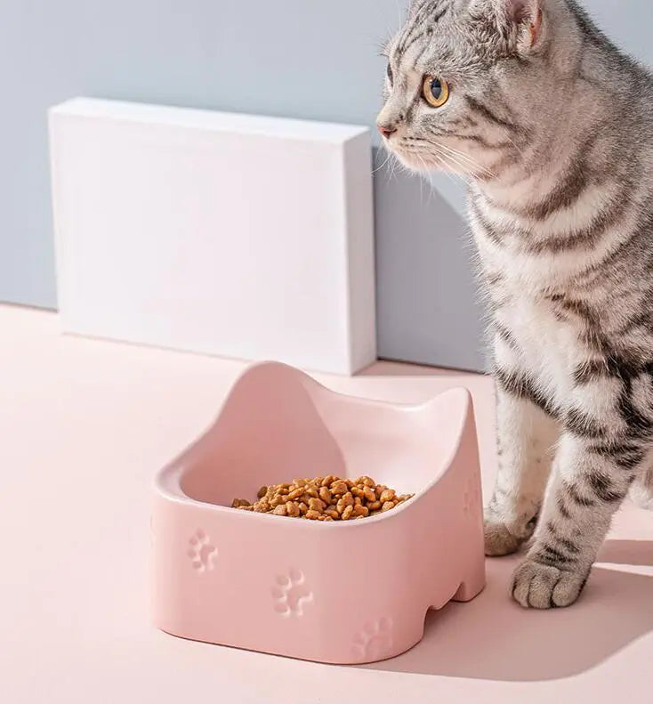 Elevated Feeding Bowl For Cats - Ergonomic And Non - Slip Design