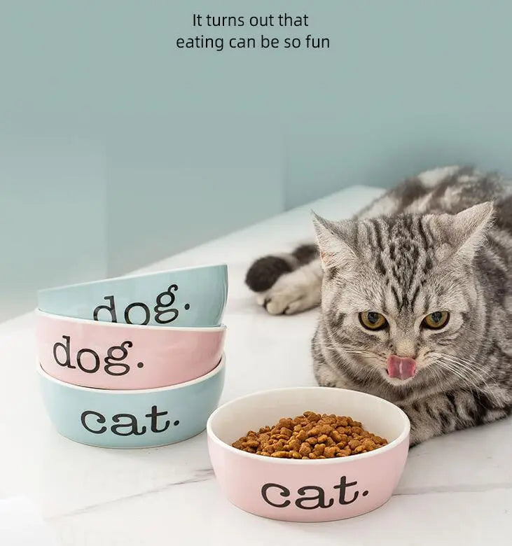Elevated Feeding Bowl For Cats - Ergonomic And Non - Slip Design