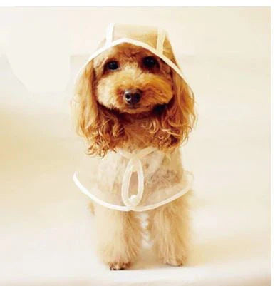 Transparent Waterproof Dog Rain Jacket