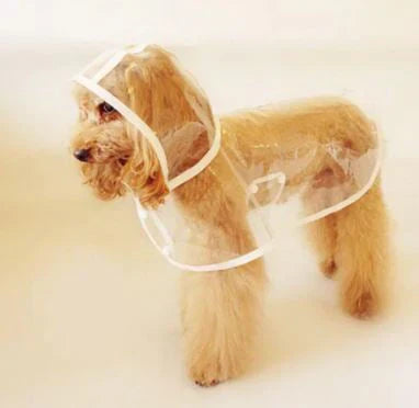 Transparent Waterproof Dog Rain Jacket