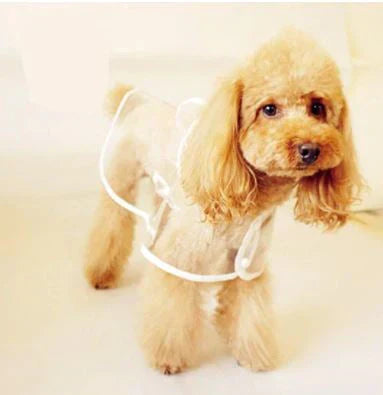 Transparent Waterproof Dog Rain Jacket