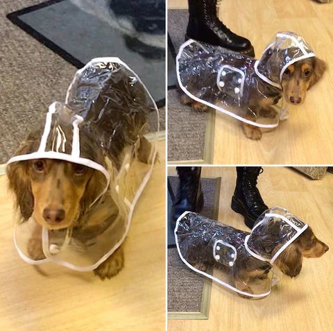 Transparent Waterproof Dog Rain Jacket