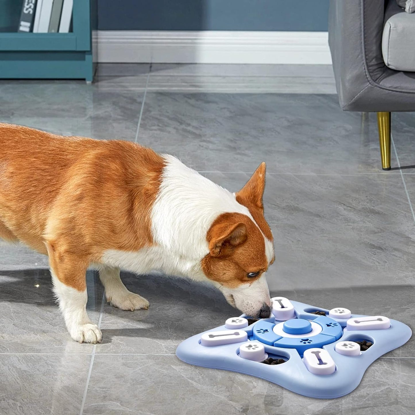 Thinkpaws Play Station