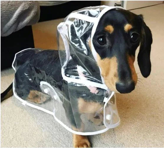 Transparent Waterproof Dog Rain Jacket