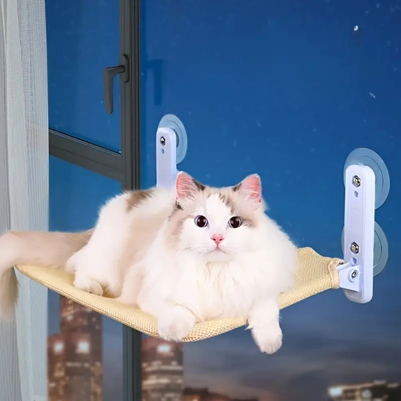 Folding Suction Cup Hammock For Cats