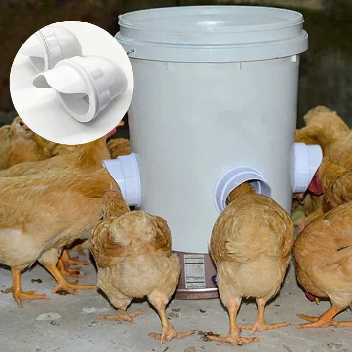 Self - Sufficient Chicken Feed System