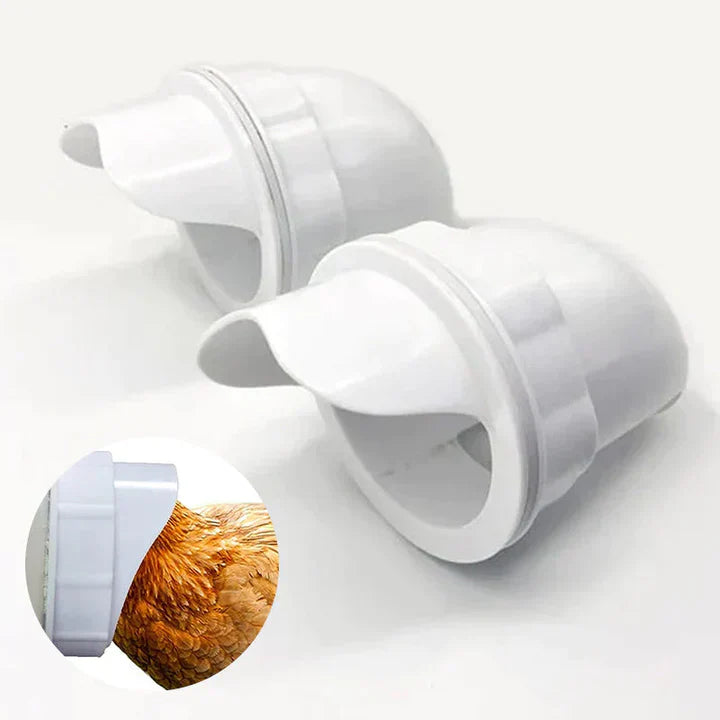 Self - Sufficient Chicken Feed System