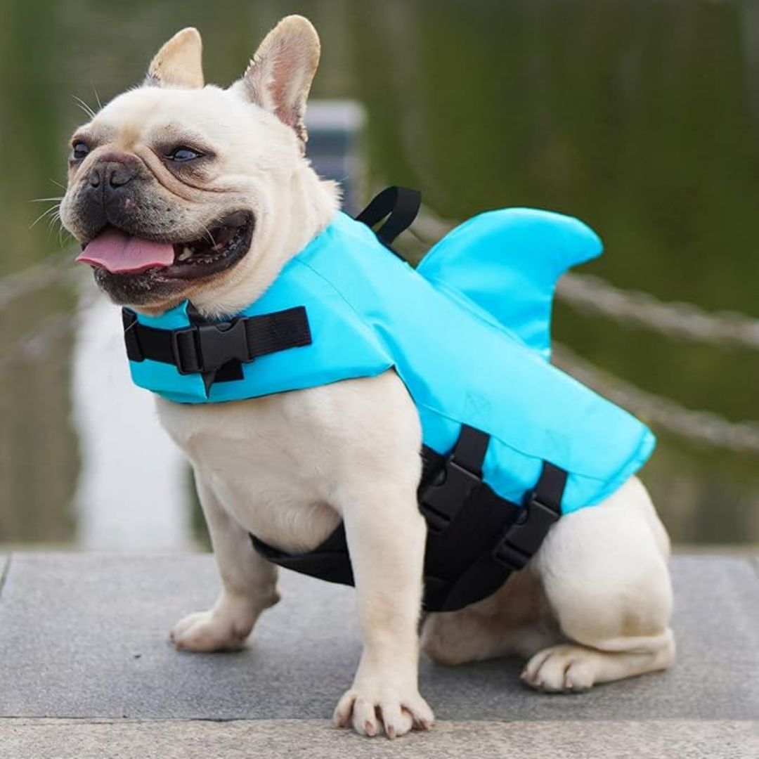 Life Jacket For Dogs