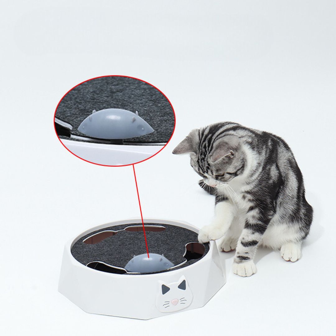 Interactive Mouse Hide - And - Seek Game For Cats