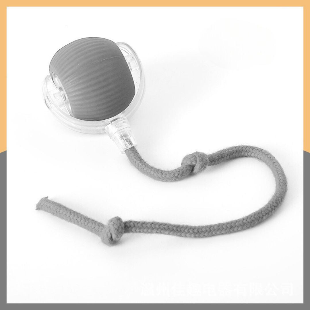 Interactive Play Ball With Tail