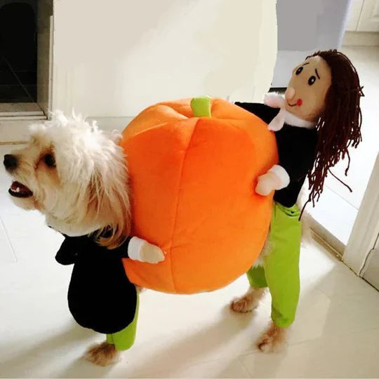 Fun Pumpkin Halloween Costume For Dogs