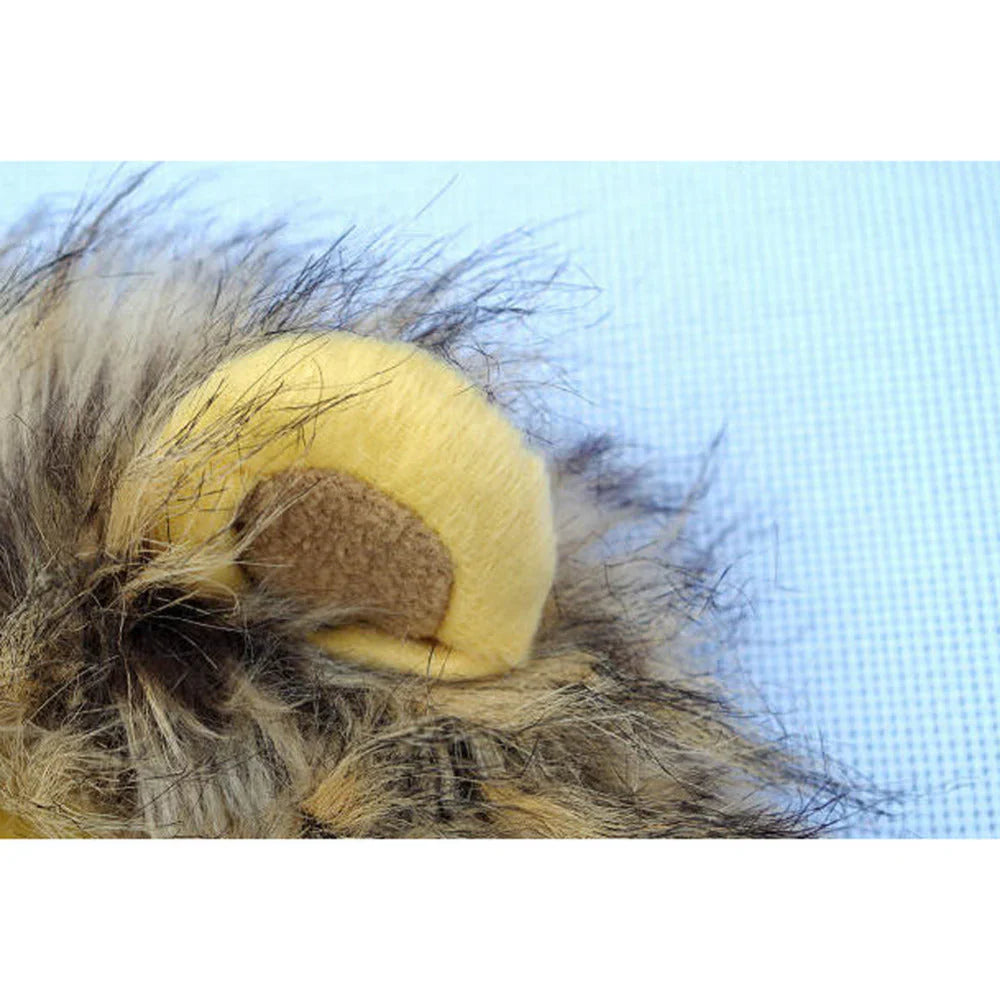 Cat Lion's Mane Costume