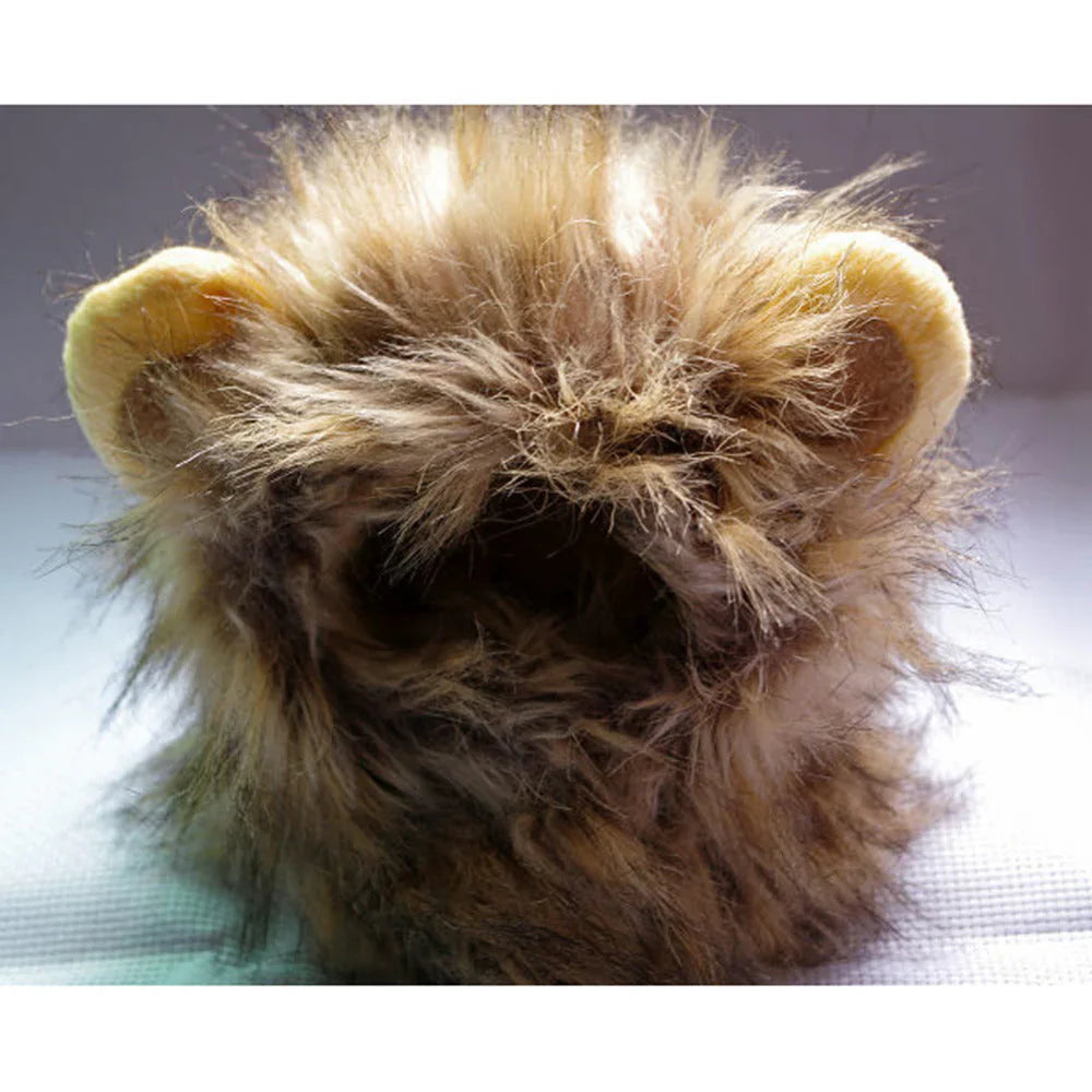Cat Lion's Mane Costume