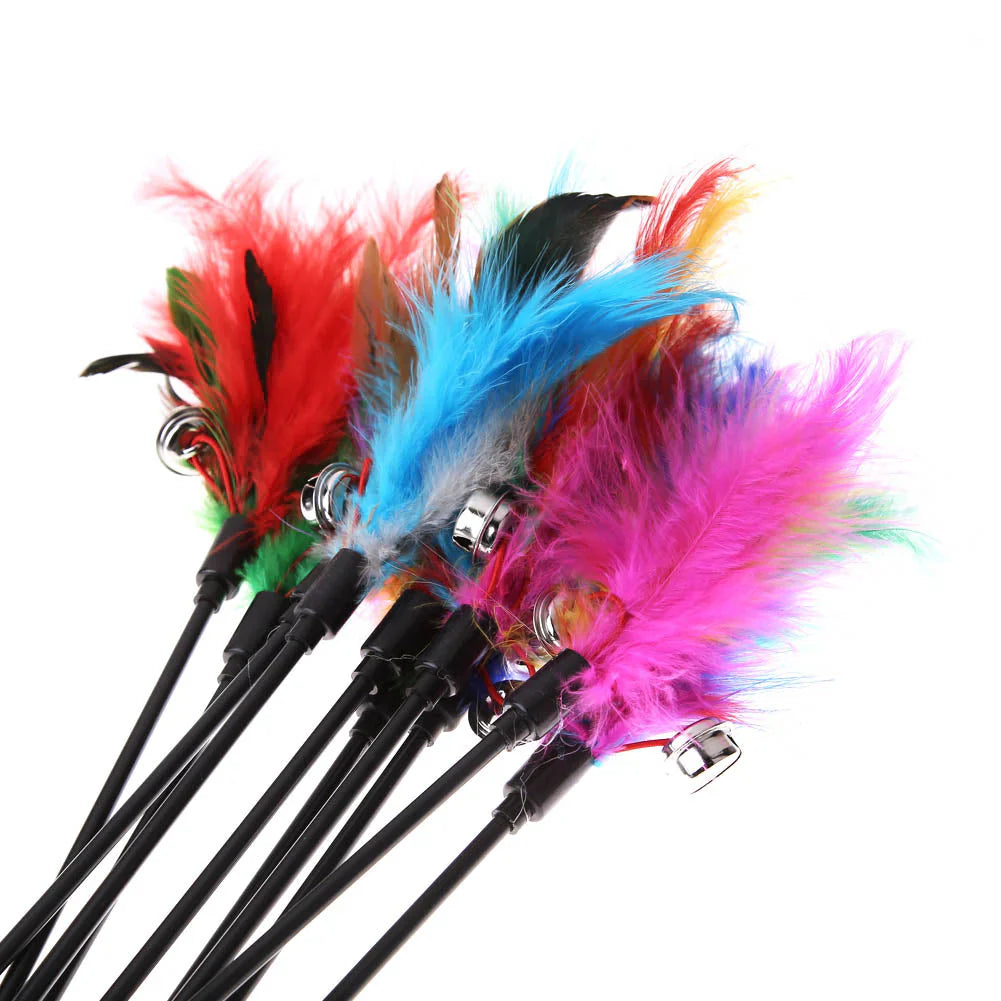 Cat Toy with Colourful Feathers (Set of 5)