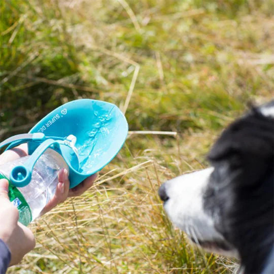 Portable Water Bottle For Dogs With Integrated Bowl