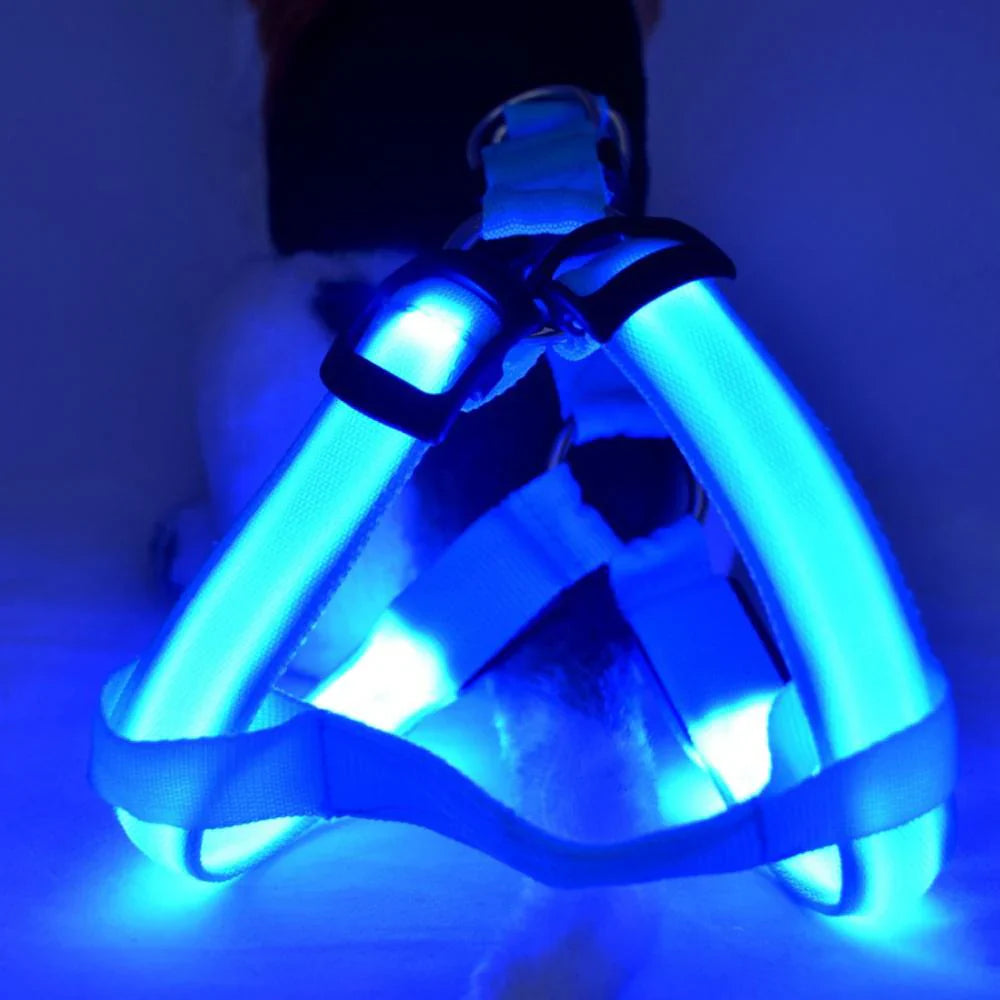 Dog Harness With Light - Up Function