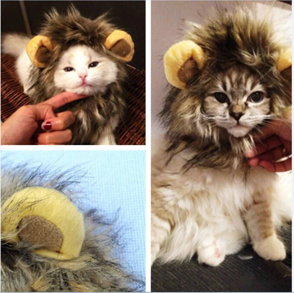 Cat Lion's Mane Costume