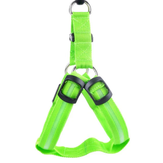 Dog Harness With Light - Up Function