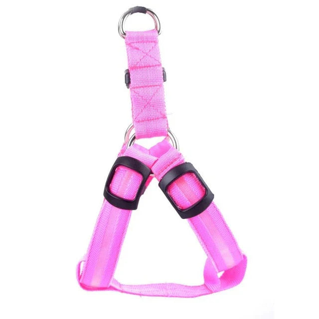 Dog Harness With Light - Up Function