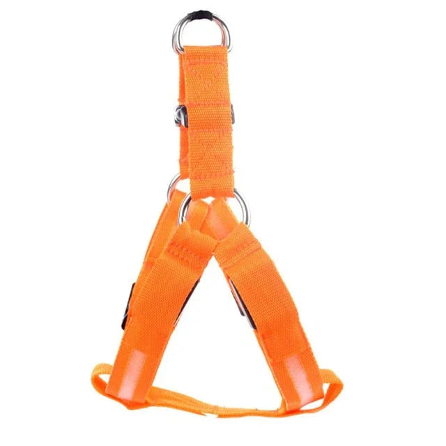 Dog Harness With Light - Up Function