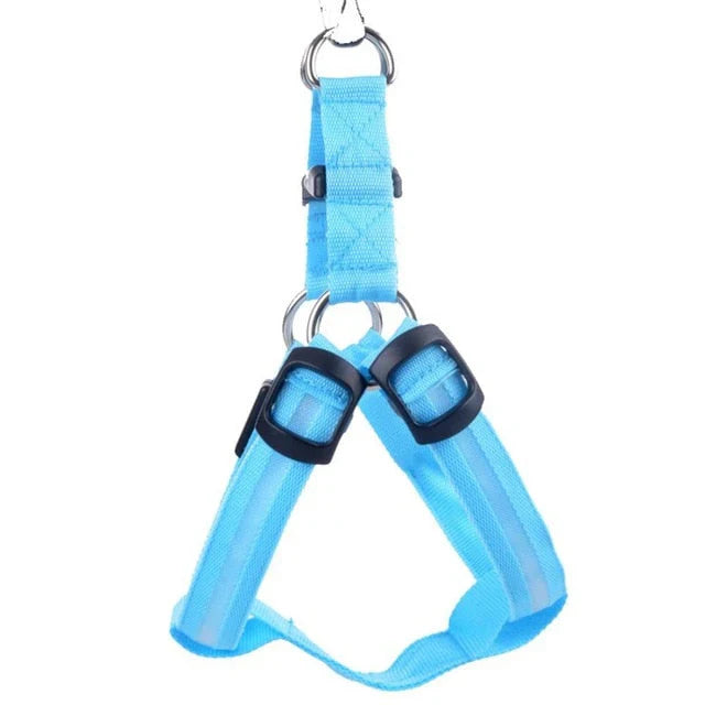 Dog Harness With Light - Up Function