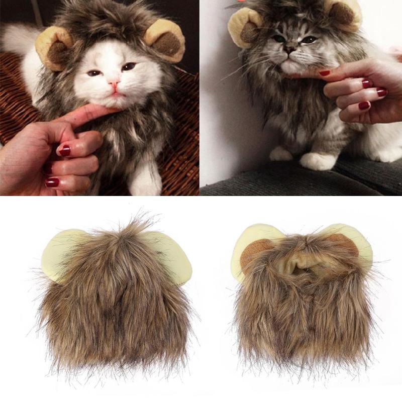 Cat Lion's Mane Costume