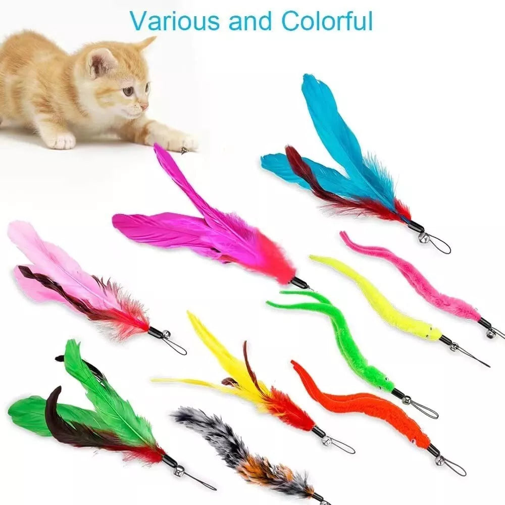 Cat Fishing Set - Interactive Toy With Feathers & Pendants